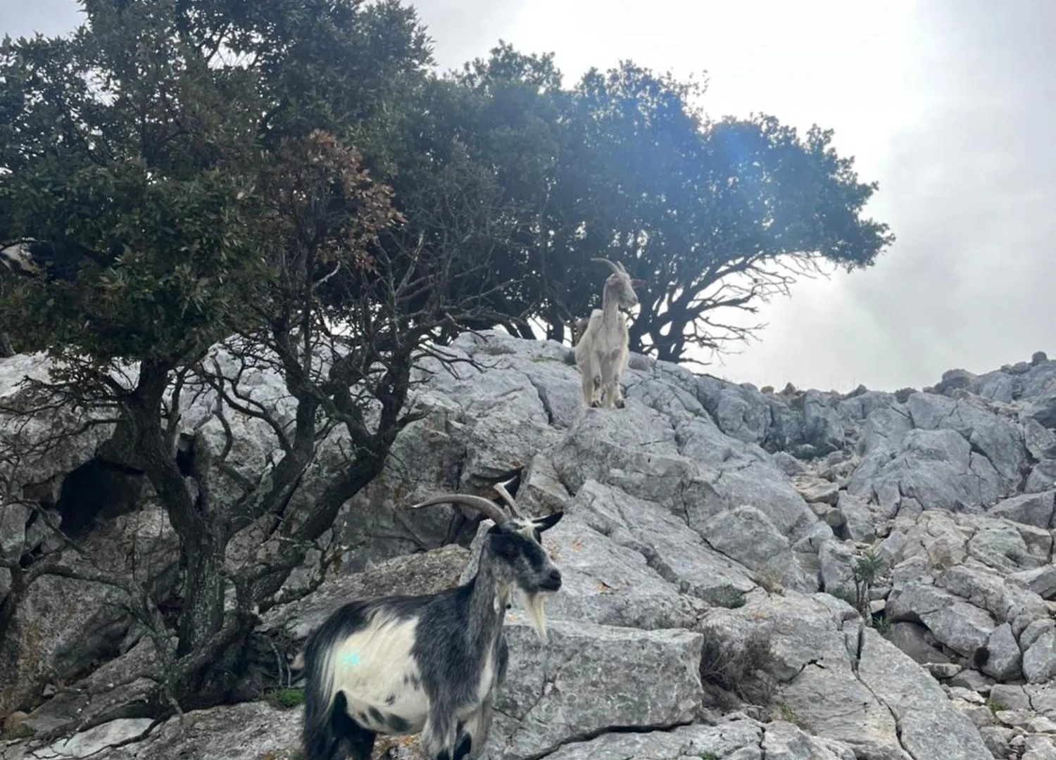 Petit Paradis A Sanary Avec Vue Mer Wifi Et Clim